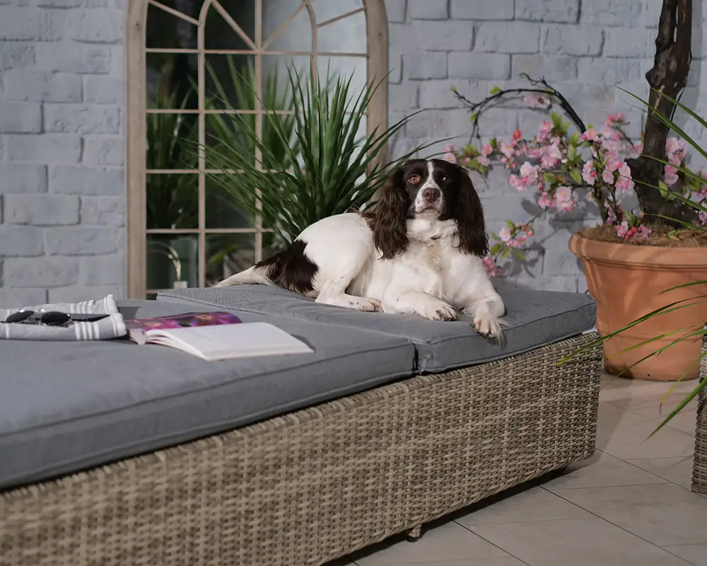 Wentworth Sun Lounger